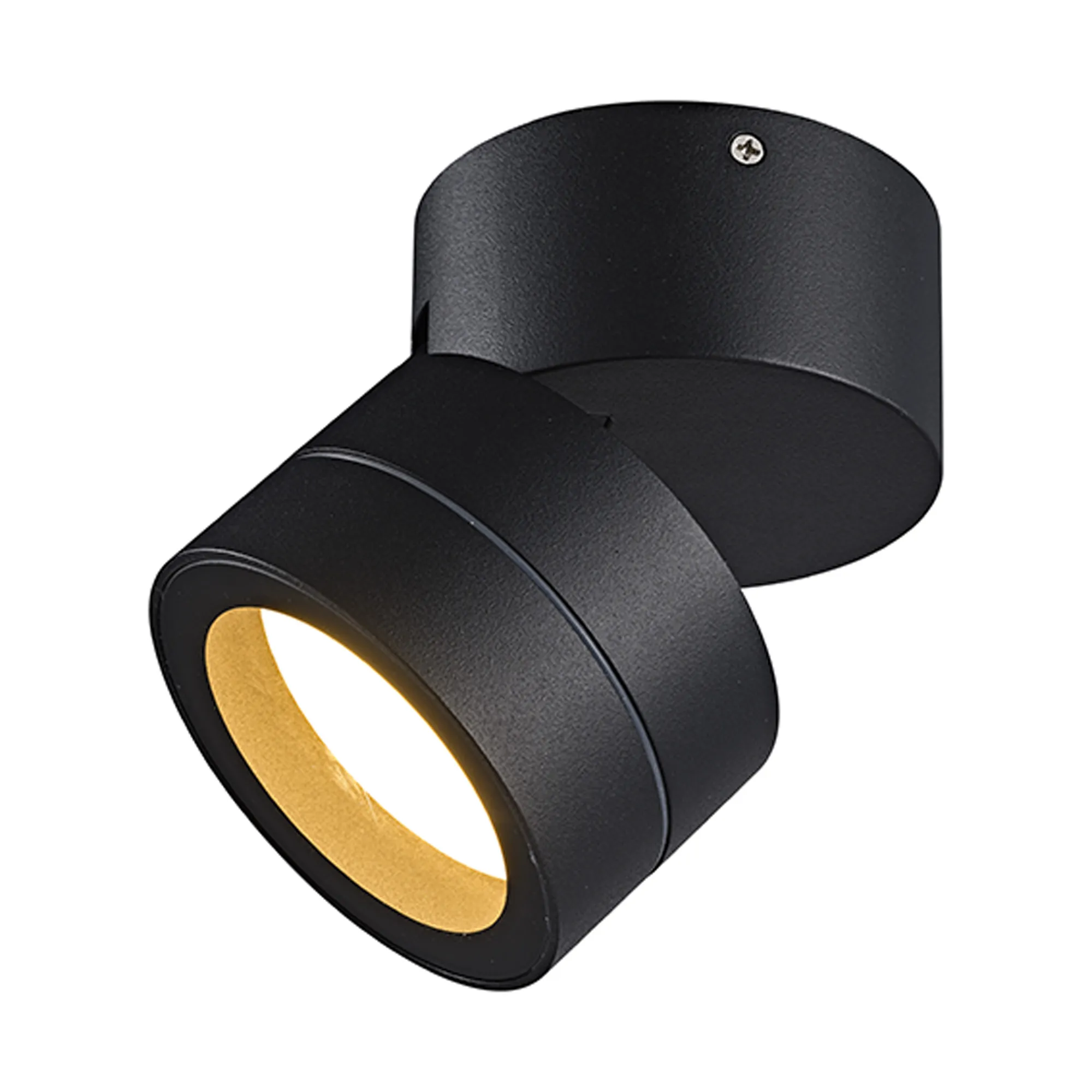 M9102/2700K  Saler Adjustable Ceiling Spotlight/Wall Light, 1 Light, With Replaceable 12W LEDs, 3000K, Black, IP65